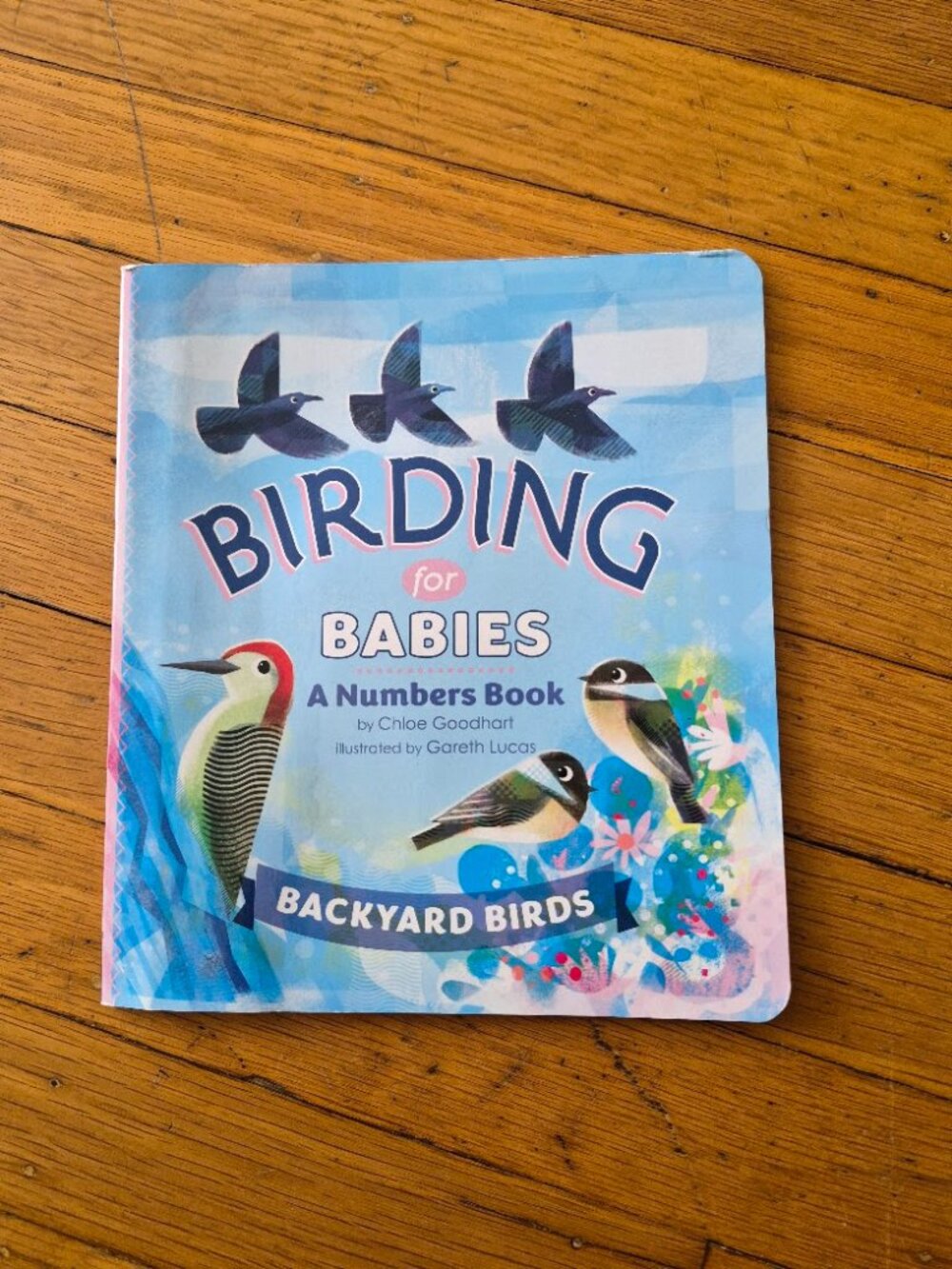 Birding For Babies-Dolly Parton's Imagination Library